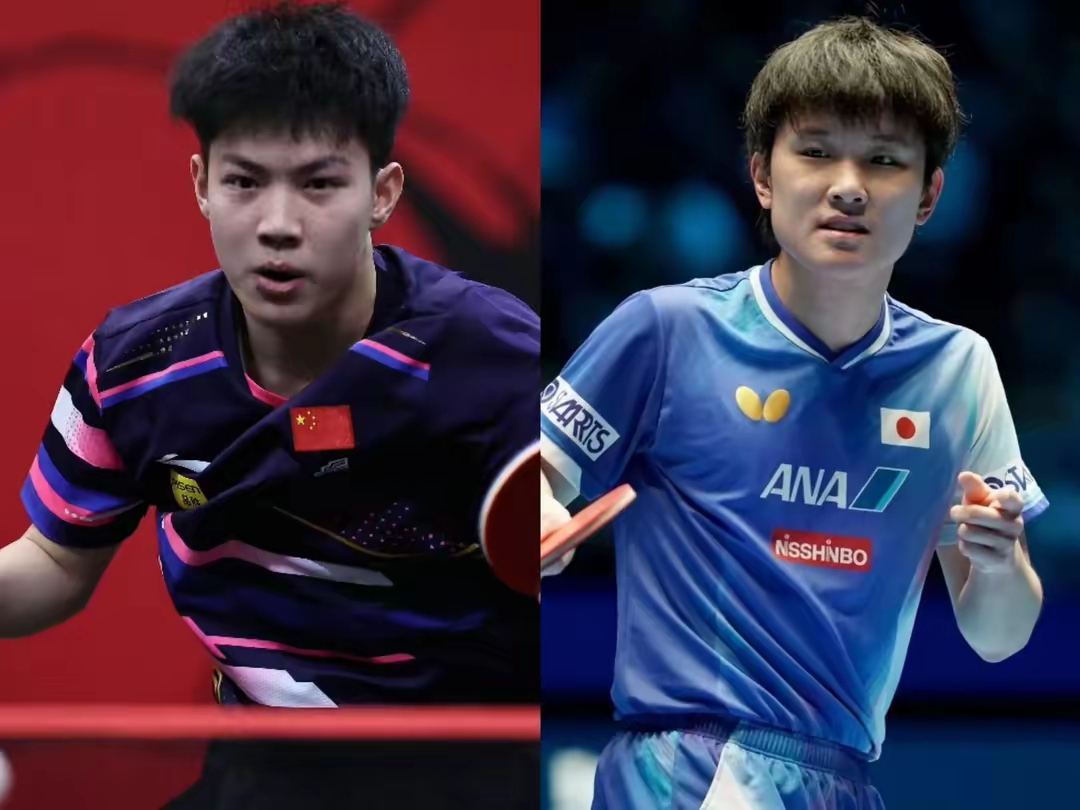 葡萄牙队逆转波兰队，张本智和惊艳四座的简单介绍