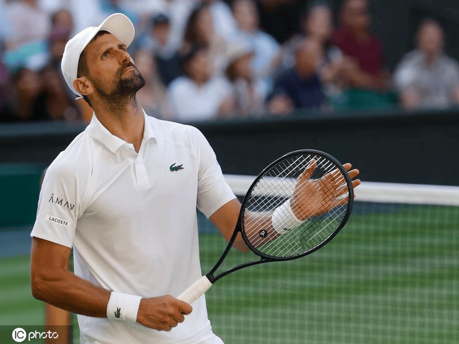 PG电子娱乐官网下载-包含联合杯逆转年终总决赛，德约科维奇统治全场的词条