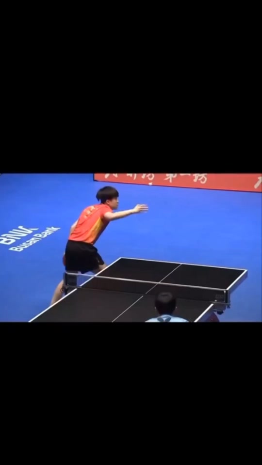 德国乒乓球队力克瑞典乒乓球队，许昕高光表现的简单介绍